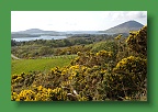 Connemara (299)